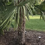 Palmengarten 아파트
