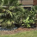 Lejlighed Palmengarten