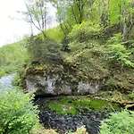 Palmengarten *