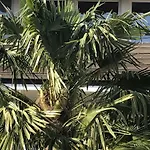 Palmengarten Lejlighed Lichtenstein (Baden-Wurttemberg)