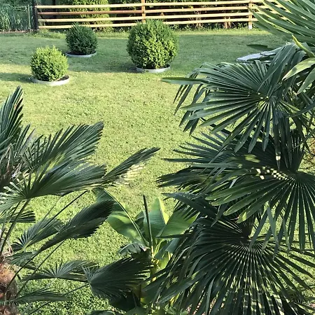 Palmengarten Lichtenstein (Baden-Wurttemberg)