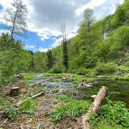 Palmengarten Lichtenstein (Baden-Wurttemberg)