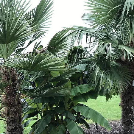 Lejlighed Palmengarten Lichtenstein (Baden-Wurttemberg)