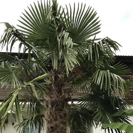 Palmengarten Apartmán Lichtenstein (Baden-Wurttemberg)