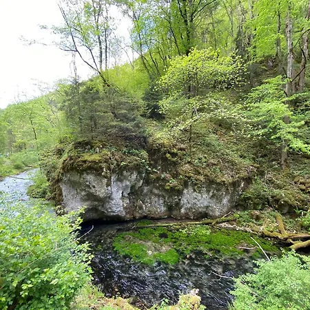 Palmengarten *