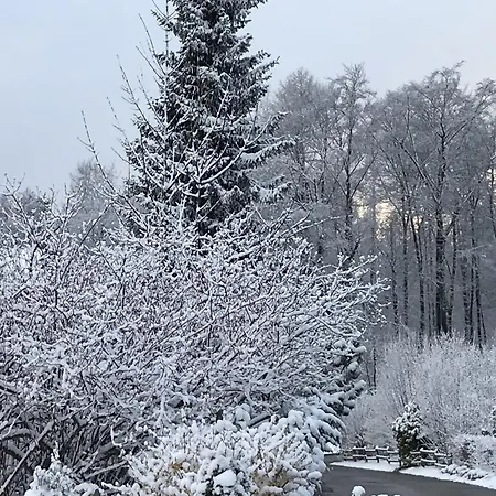Apartmán Palmengarten Lichtenstein (Baden-Wurttemberg)